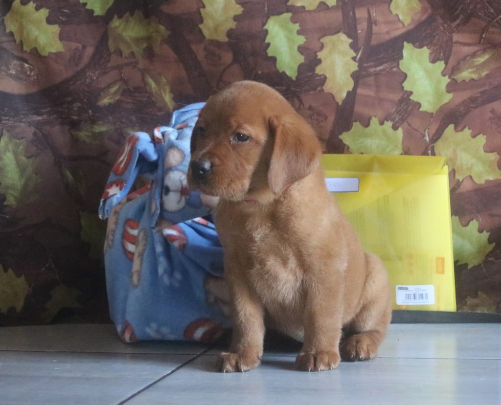 Ongoing Support and Guidance